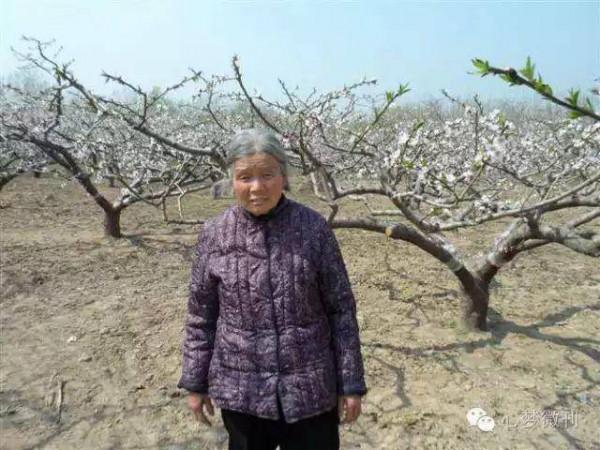 秋韻 | 我的母親 秋韻 | 我的母親