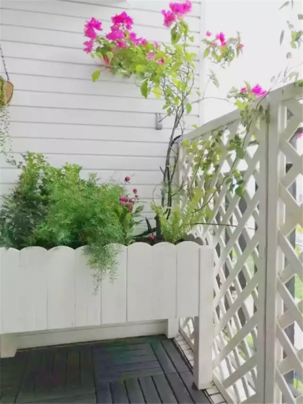 用2000元,爆改一個陽臺花園,你也可以做到 用2000元,爆改一個陽臺花園,你也可以做到