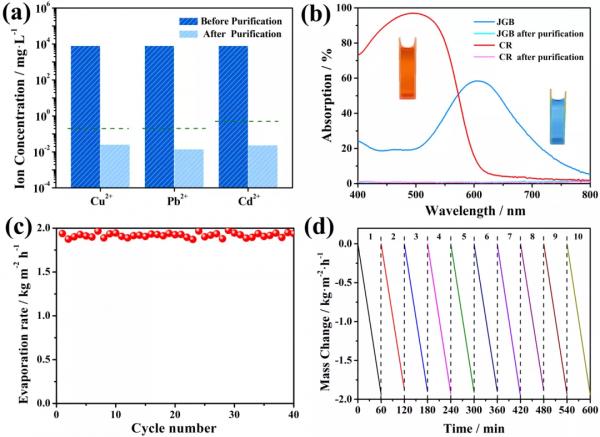 從植物蓮獲啟發設計製備出新型仿生三維高效能太陽能蒸發器 從植物蓮獲啟發設計製備出新型仿生三維高效能太陽能蒸發器