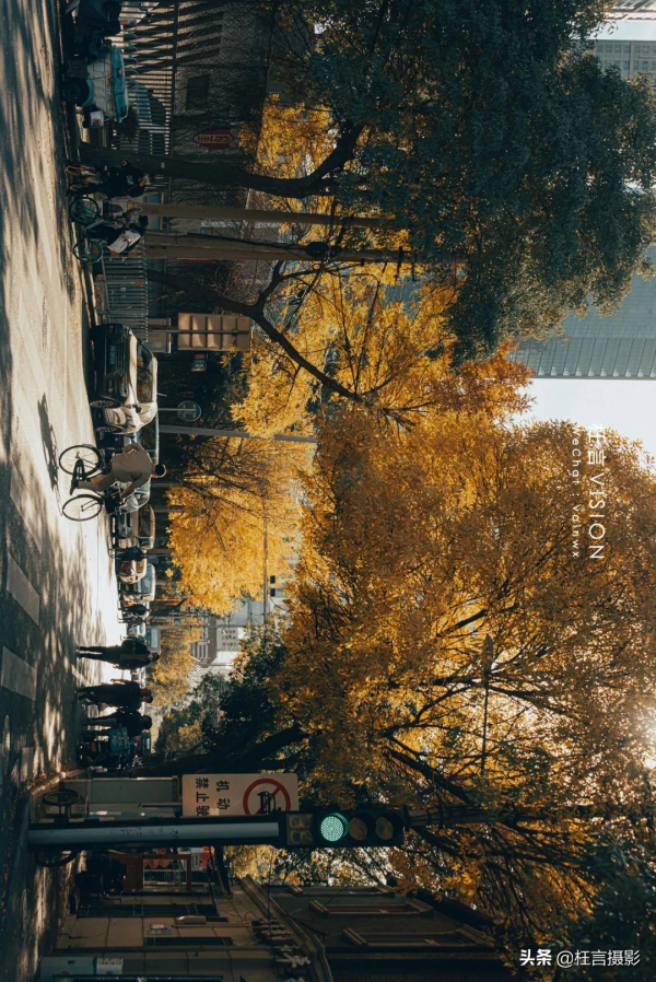 深秋在哪裡 深秋在哪裡