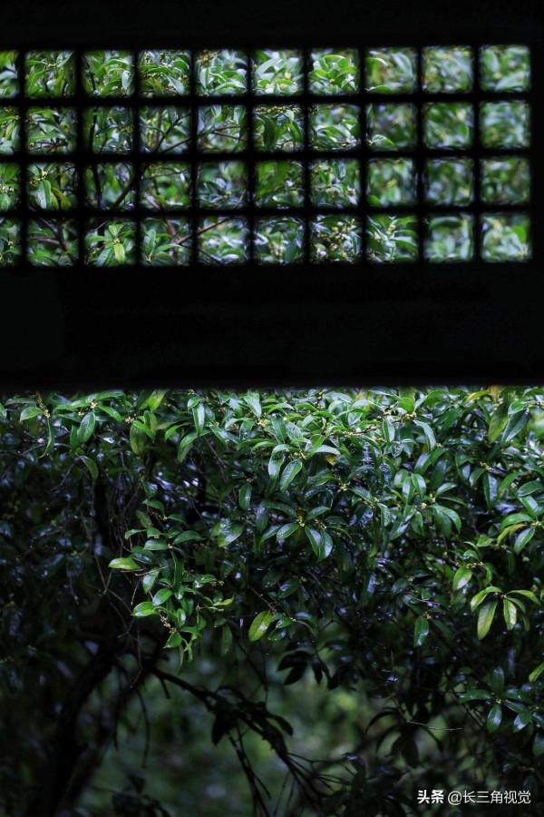 煙雨江南，水韻湖州——雪不來，聽雨也是一種心境