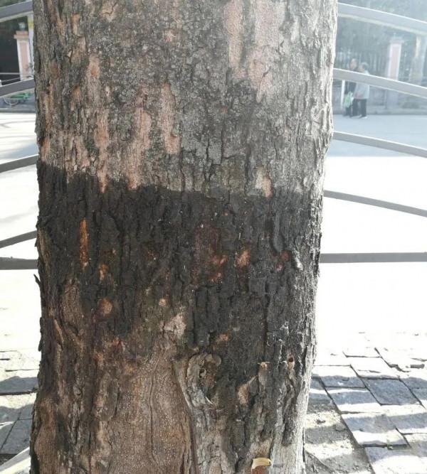 這點小心機少不了