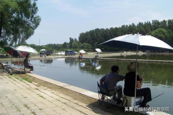 釣魚人常說的偷驢是什麼意思?黑坑鯉魚偷驢技巧和配方 釣魚人常說的偷驢是什麼意思?黑坑鯉魚偷驢技巧和配方