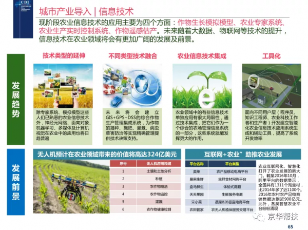 鄉村振興戰略下發展規劃、投融資規劃、城鎮發展策略、經典案例