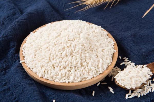 日本的電動車夢，埋沒在10年前的一場地震中