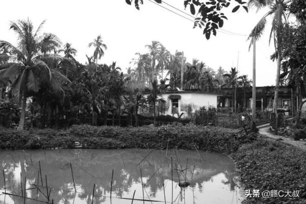 40年的記憶——海南國營乘坡農場行