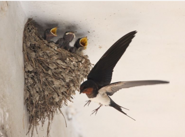 能與世間萬物心有靈犀,並守著那份摯愛,你將看到不一樣的自己 能與世間萬物心有靈犀,並守著那份摯愛,你將看到不一樣的自己