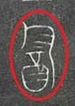 《發現古應國》，周王御駕親征湖北省，血戰噩侯馭和三星堆人後裔