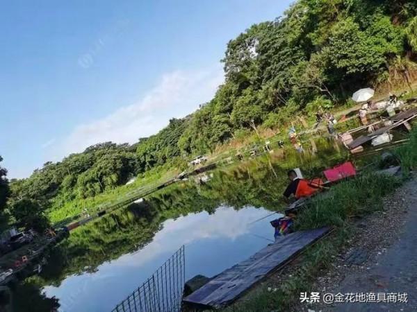 金花地推薦釣場--王子釣魚場（大物塘）