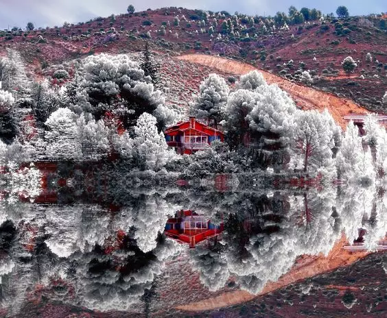 品,秋的味道 品,秋的味道