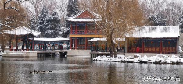 難覽觀園全畫景 雪覆臘梅一隅香&mdash;&mdash;踏雪尋遊北京大觀園
