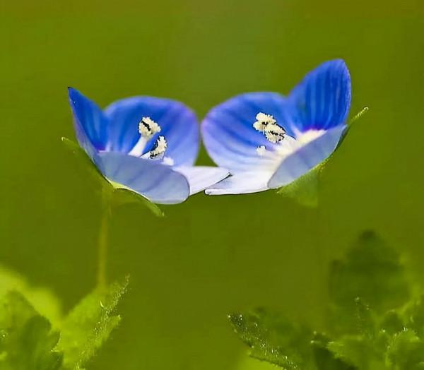 與人交往：別做這3件事，是大智慧