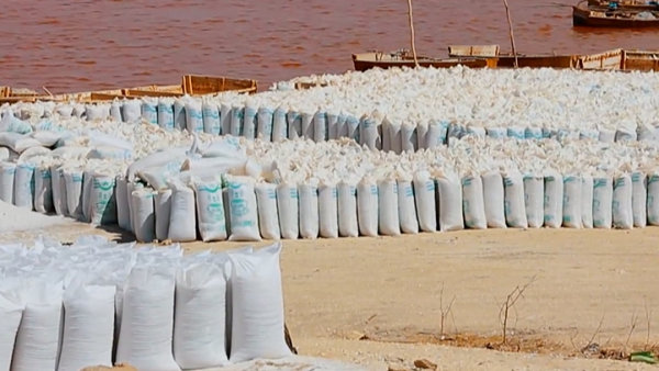 塞內加爾的底層生活：採鹽工為了掙錢，渾身潰爛也要泡在鹽湖裡