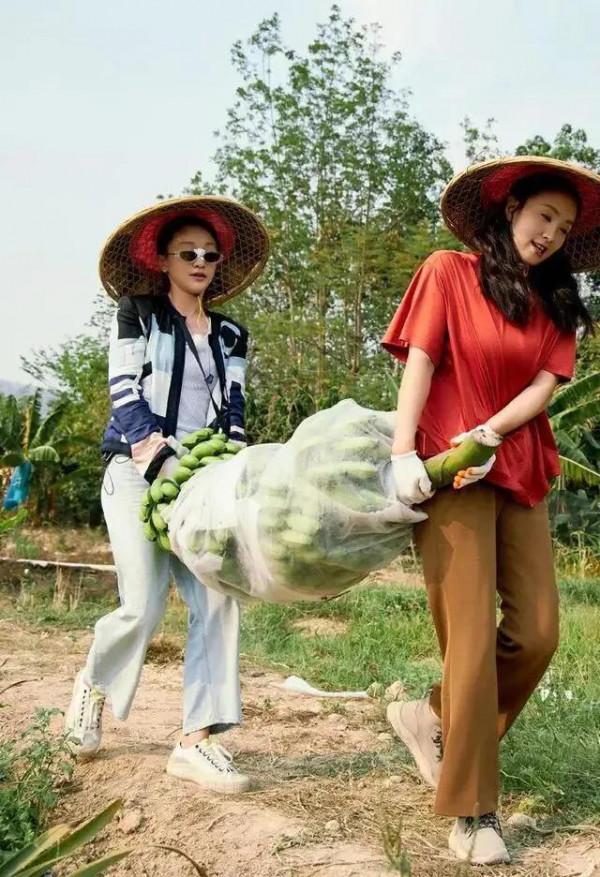 盤點娛樂圈明星迴農村幹農活誰最接地氣？