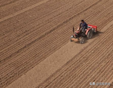 種小麥免耕好？還是深翻細耕好