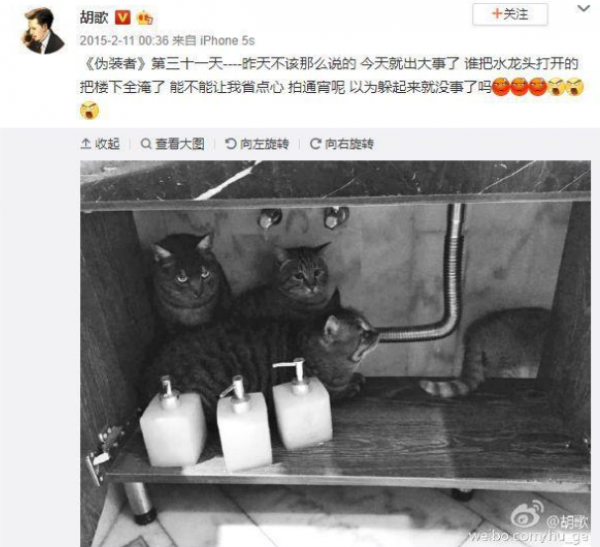 貓：“你們饞了半輩子的男人，被我吸了！”