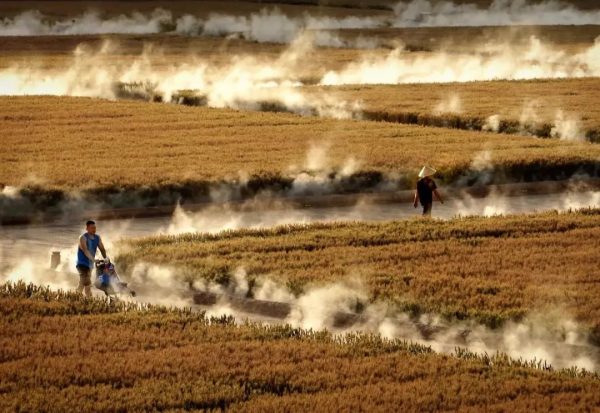 只有河南•戲劇幻城 只有河南•戲劇幻城