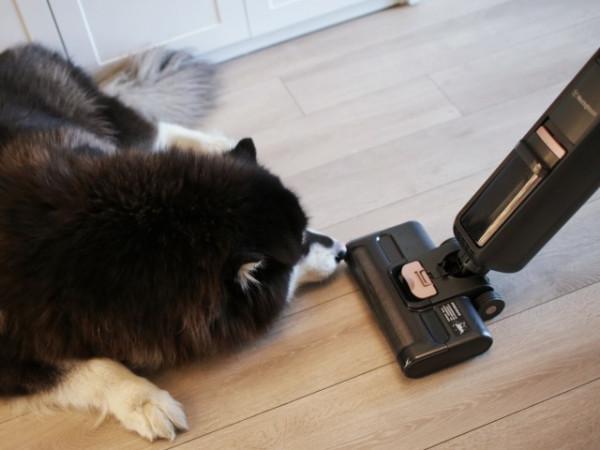 拯救“鼻炎星人”清潔法寶：高速滾刷1秒10擦，徹底清除髒汙毛髮