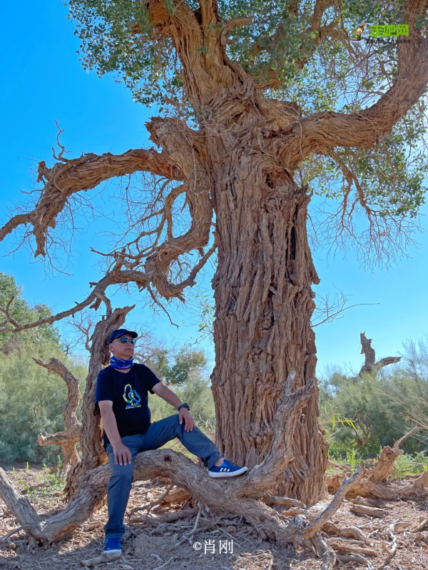 自駕去過16個省市，行程35000公里，這位61歲老司機有話要說