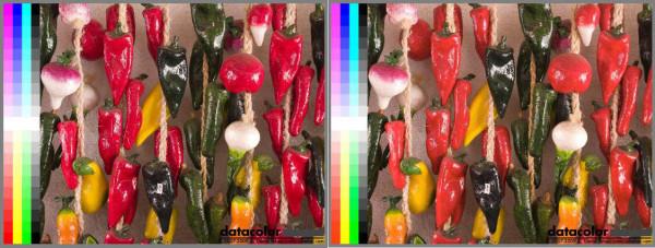 解決我所有校色需求,spyderX Elite使用體驗 解決我所有校色需求,spyderX Elite使用體驗