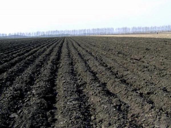 我國地理：陝西秦嶺、青藏高原、臺灣省日月潭