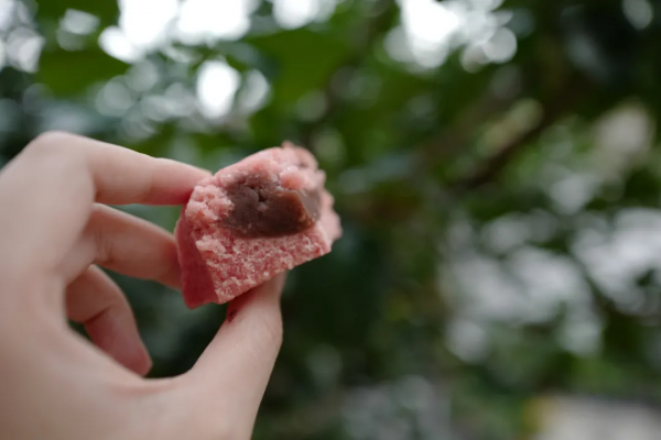 伴手禮買啥?進來抄作業 伴手禮買啥?進來抄作業