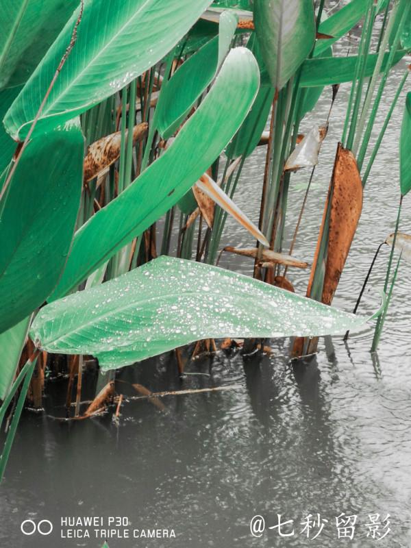 國家5A景區古隆中 國家5A景區古隆中