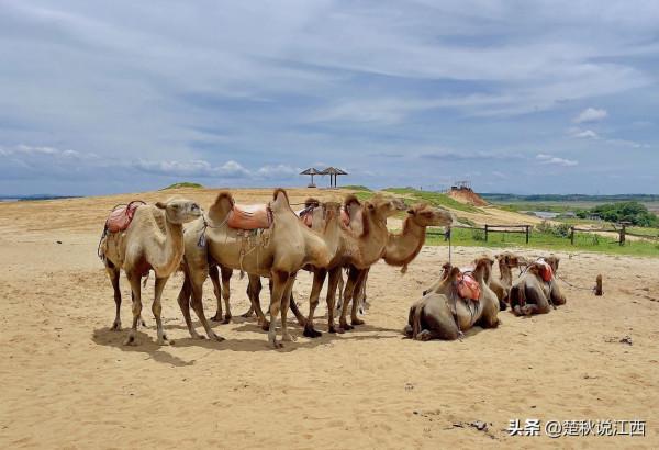 身處江南的江西，竟然還隱藏著這麼一大片沙漠