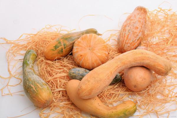 支氣管哮喘患兒在康復階段的飲食原則