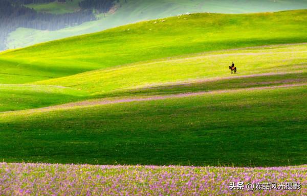 2017年5月26日 新疆喀拉峻大草原