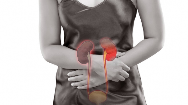 李時珍說“香附子”,專治“未老先衰”,頭痛,牙痛也有效果 李時珍說“香附子”,專治“未老先衰”,頭痛,牙痛也有效果