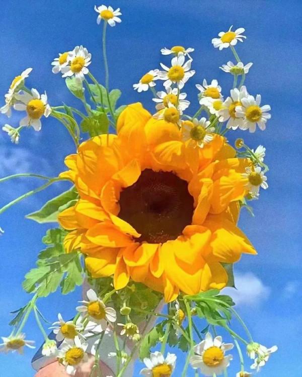 小雪悠悠冬來遲 小雪悠悠冬來遲