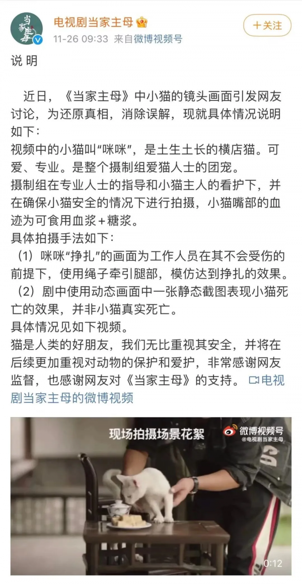 熱播新劇被疑虐殺動物，遭全網抵制：這世間，真的有因果報應