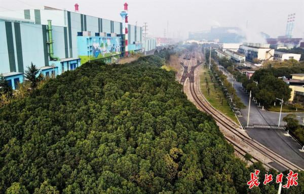 中南大旅遊研究院院長鄧愛民：武鋼要打造成具有時代特色的生態森林鋼廠