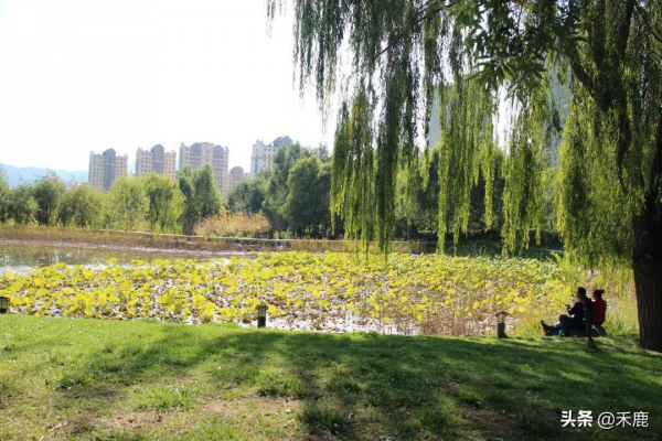 感受樂都這個民族團結主題公園的詩意 感受樂都這個民族團結主題公園的詩意