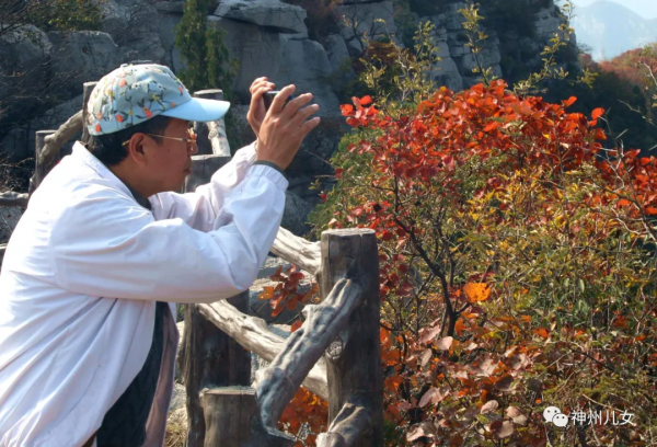 太行紅葉別樣紅
