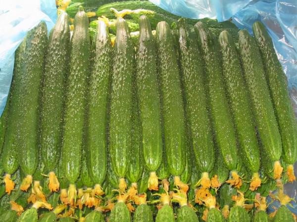 冬天吃什麼蔬菜比較好？提醒：立冬之後，這3種蔬菜要儘量少吃