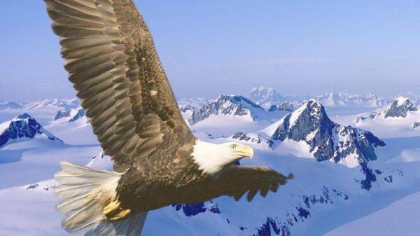 10大最勵志的詩篇排名，每首都很經典，哪首能排名第一？