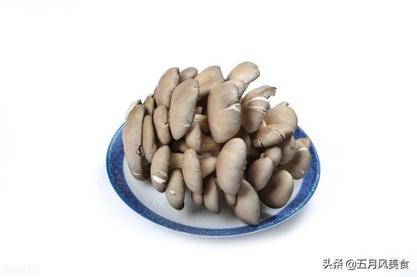 冬天的菌菇最養人!6種養身菌菇,您可別錯過了 冬天的菌菇最養人!6種養身菌菇,您可別錯過了