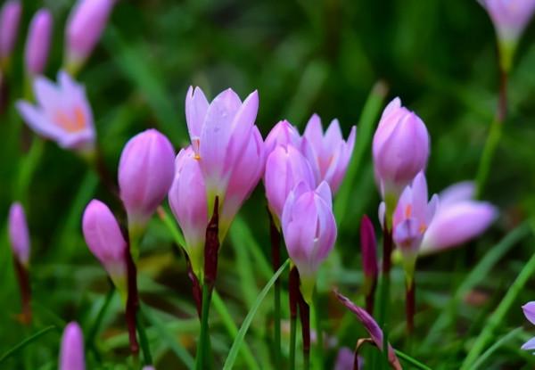 這樣跟你說話的人，品行好，值得深交