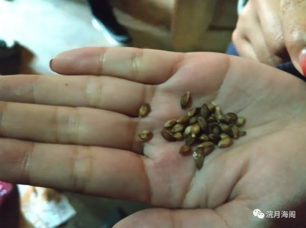 吃貨的彩雲之南——實拍篇 吃貨的彩雲之南——實拍篇