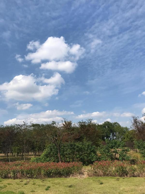 秋日江邊美如畫 秋日江邊美如畫