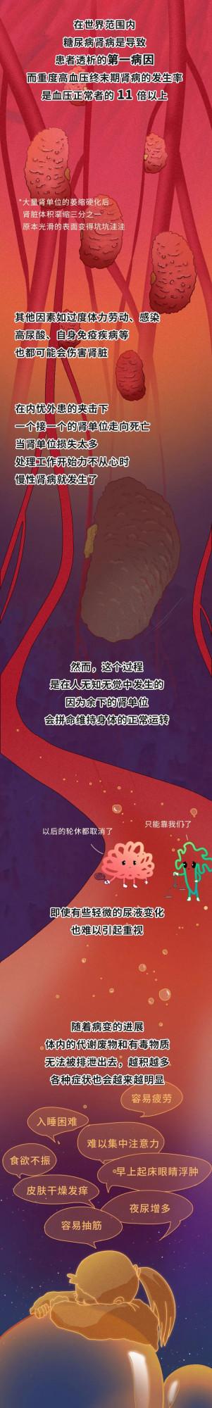 漫畫科普：來看這個器官是怎麼幹活兒的