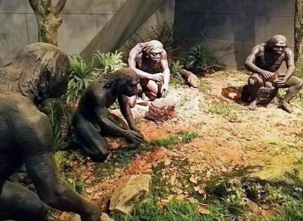 第一個原始人長啥樣？150萬年前的化石，或改寫“走出非洲”理論