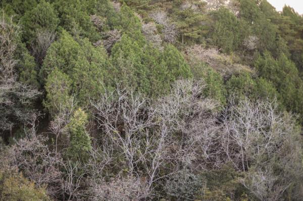 北京徒步登山:人少且免費的爬山步道,房山石花洞鳥語林風景區 北京徒步登山:人少且免費的爬山步道,房山石花洞鳥語林風景區