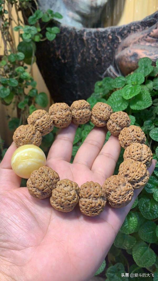 文玩大金剛您覺得怎麼樣?如果是您會入手嗎? 文玩大金剛您覺得怎麼樣?如果是您會入手嗎?