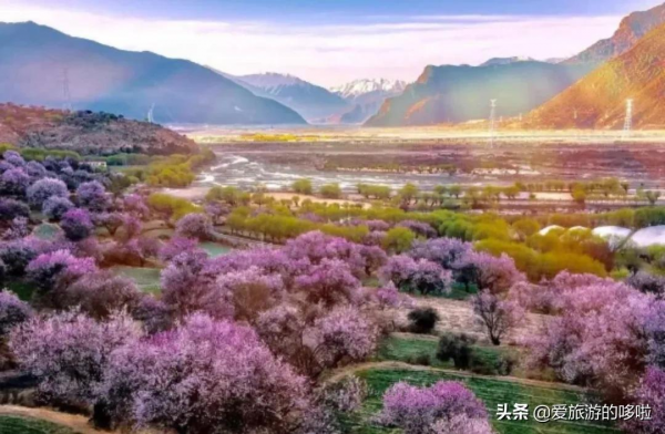 今年的旅行計劃怎麼做？不如跟著有趣的節日去旅行