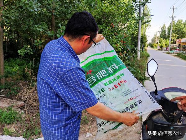 中國有最好的複合肥嗎？農民在購肥過程中，如何擦亮眼睛不上當