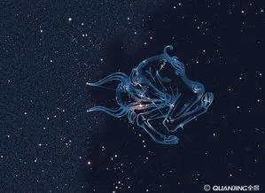 金牛座2021年12月運勢完整版