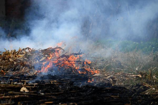 開拓北大荒:拖拉機開荒陷入泥沼,群獸被荒火驚嚇襲擊官兵 開拓北大荒:拖拉機開荒陷入泥沼,群獸被荒火驚嚇襲擊官兵